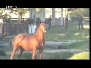 Vukovar 1991 (2.dio)