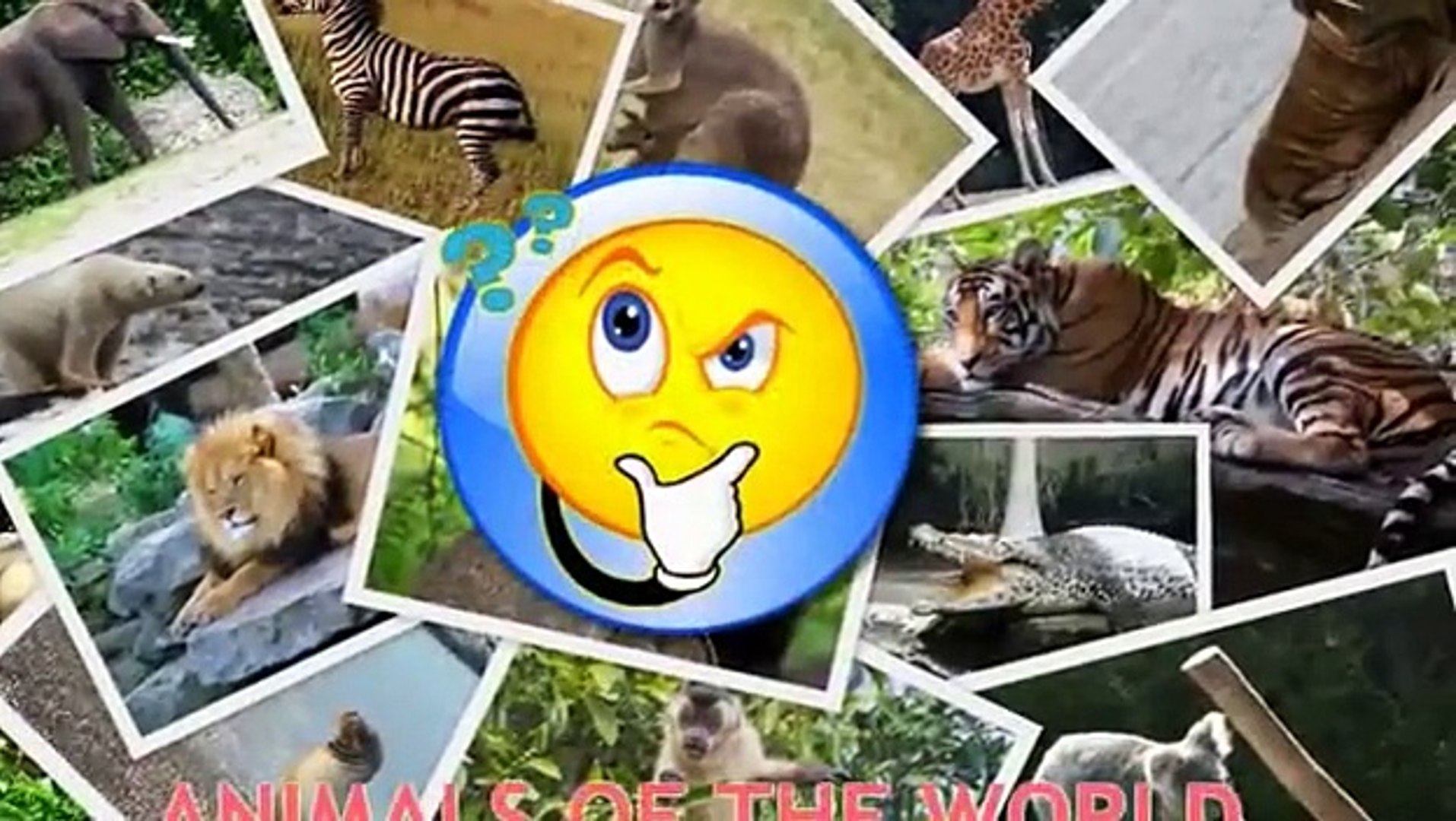 ⁣Animals for Kids | Animals of the World for Kids | Learn Animals | Animals in English