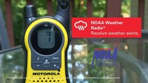 Motorola Talk About MH230 Walkie Talkie