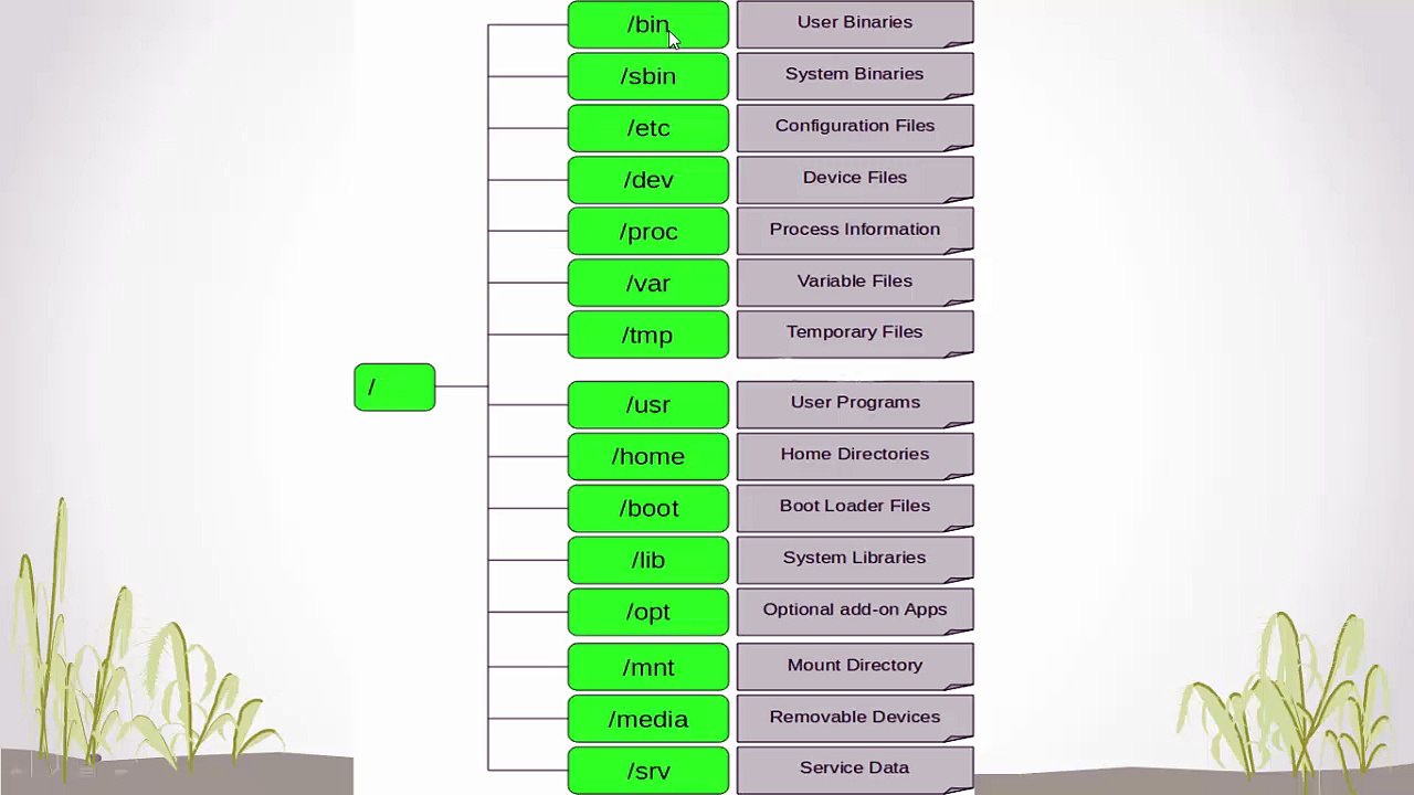 Kali LinuX Basics in Urdu- Directory Structure