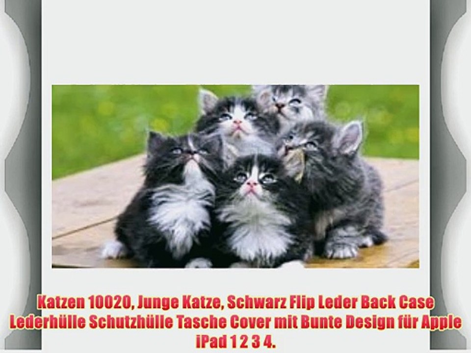 Katzen 10020 Junge Katze Schwarz Flip Leder Back Case Lederh?lle Schutzh?lle Tasche Cover mit