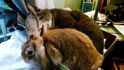 Un안산출장안마┨OIO-2156-42O2┨ 호로록 아몰랑 ~ 성남출장안마 YOU도몰라잉~  안산출장마사지/안산출장안마