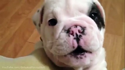 LJ안양출장안마 ㉩OIO-2156-4202 night girlz 오산출장마사지/분당출장안마 내스타일이야 ~안양출장마사지 안양출장안마