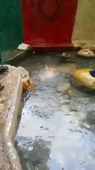 Believe it or Not, It's Real