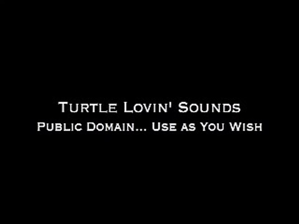 Turtle Lovin' Sound