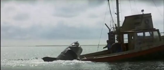 Les Dents de la mer - Toutes les morts