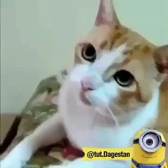 Mobile Capture 15 июля 2015 г.