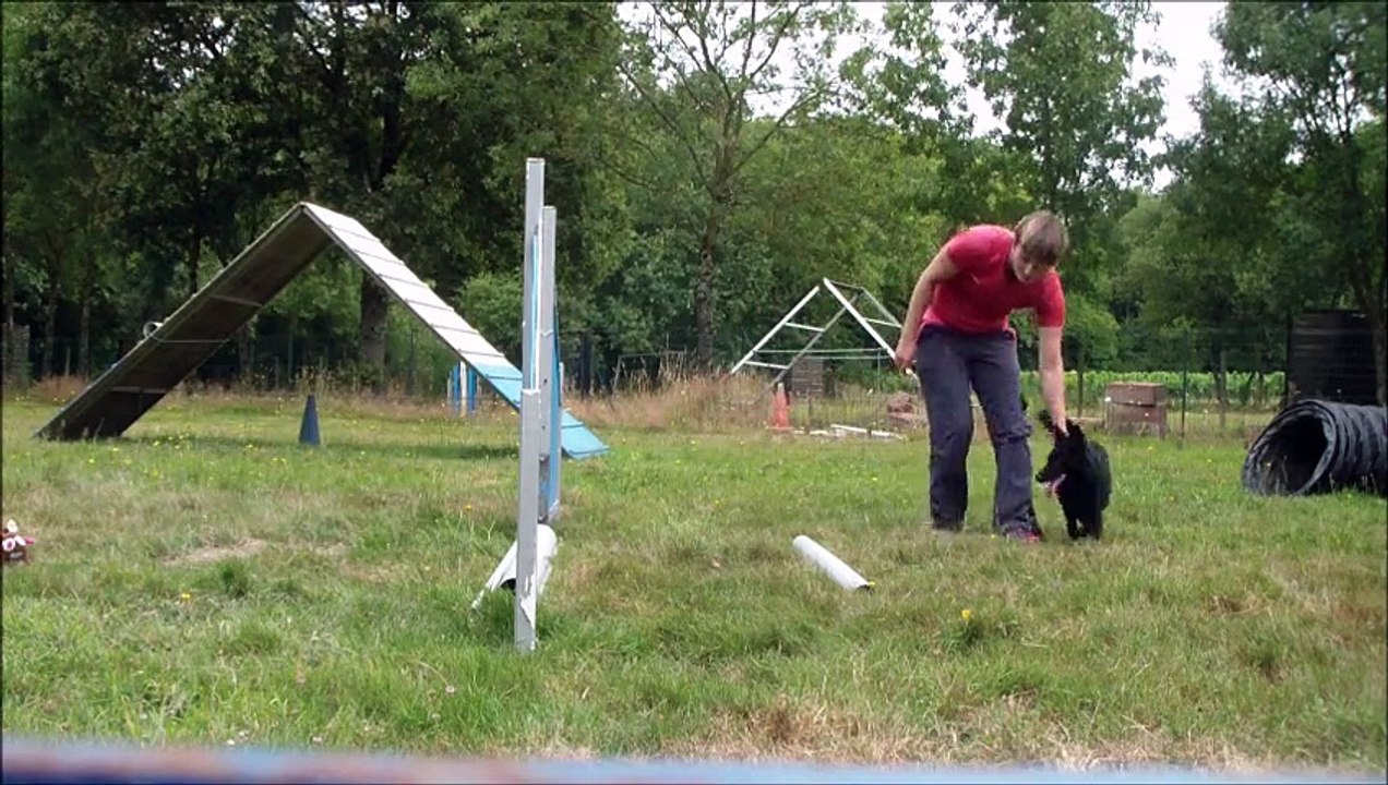 Oligane Puppy jumping Juillet 2015