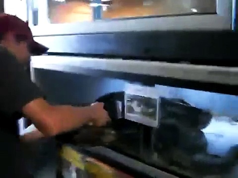 Female Tiger Reticulated Python Eating