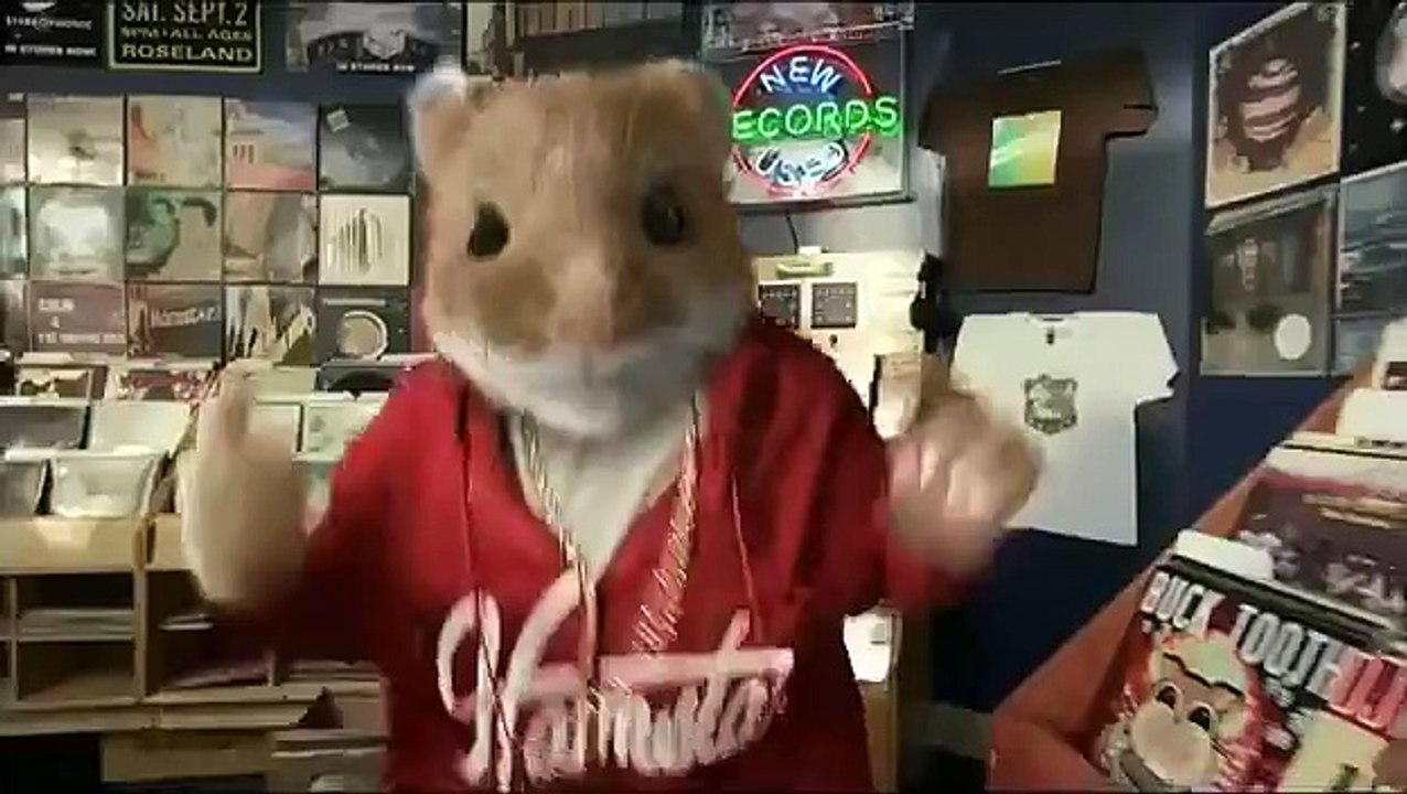 2010 Kia Soul Hamster Commercial - Black Sheep Kia Hamsters