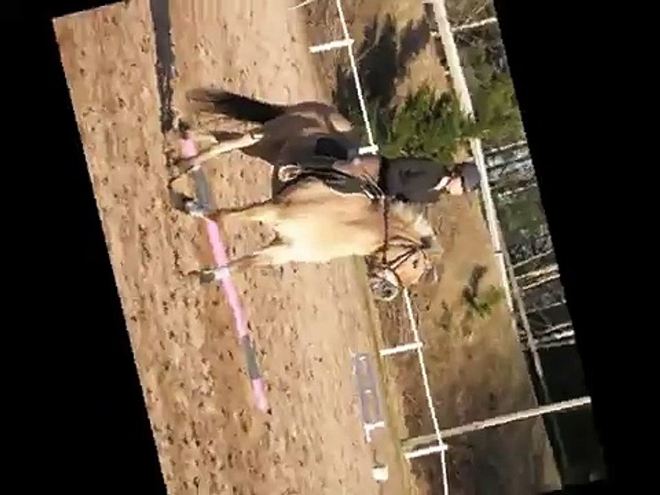 Taisto