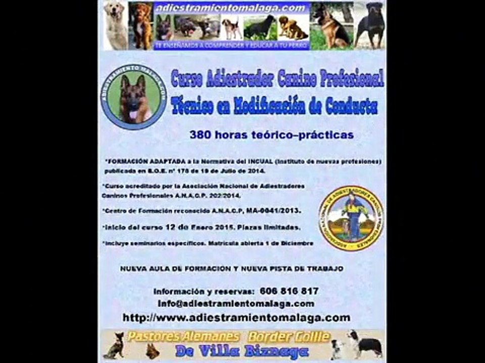 CURSOS DE FORMACIÓN DE ADIESTRADORES CANINOS PROFESIONALES.