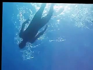 Great dane swimming, landshark, bailey, harlequin