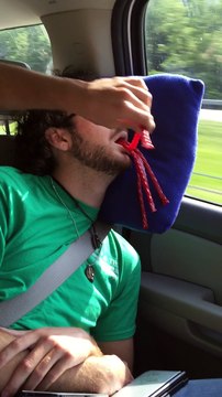 Impossible de dormir tranquille avec des potes comme ça