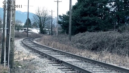 Man gets hit by train