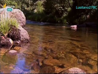 Escrito na Pedra - Ep.2 - A Pedra de Pedro (S.João de Tarouca) - RTP2