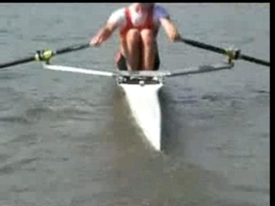 Sander_3