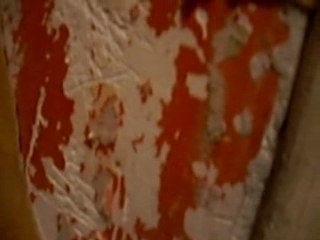 Dégat causer par mes chats