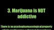 10 Marijuana Facts   *Most People Don't Know*