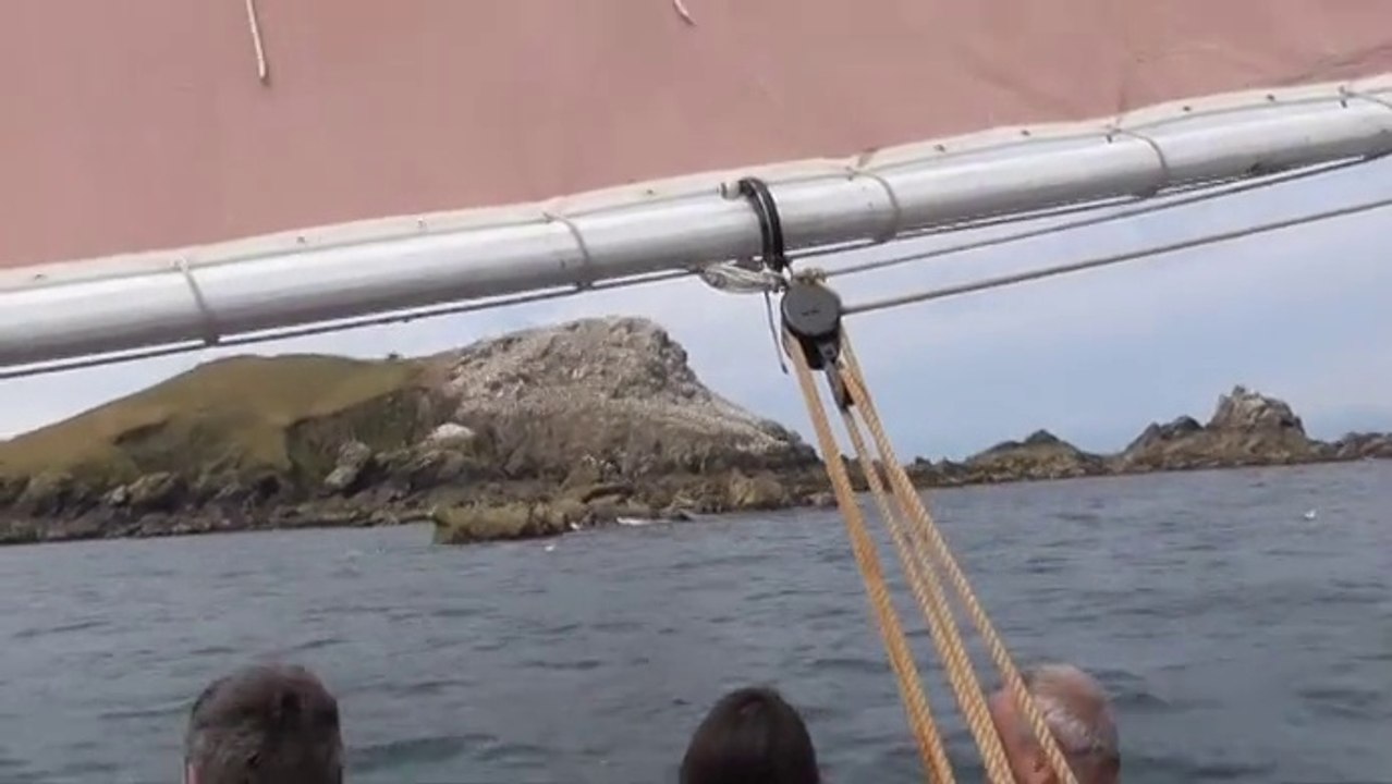 Cap sur les sept îles à bord d'un vieux gréement