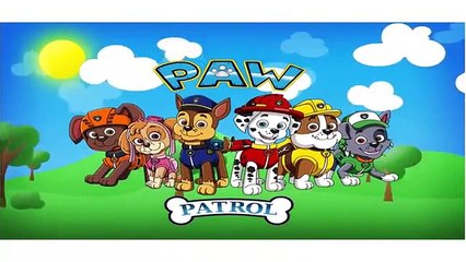 Disney Frozen Paw Patrol Toy Story 3D Finger Family Collection Cartoon Animation Nursery R