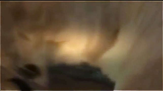 Lions Documentary: Deep Rivers of Blood - Lions vs Crocs |Special Animal Planet|