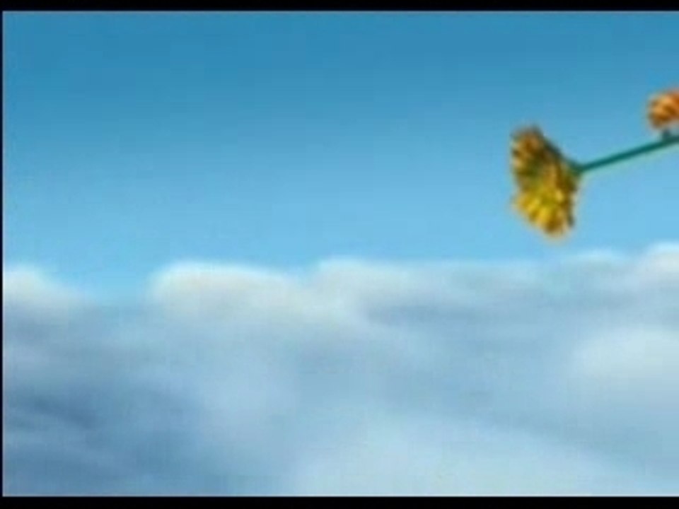 Minusule wasp belle