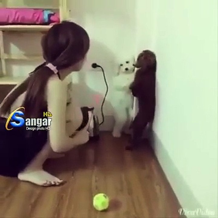 Cut Girls Fun With Two Puppy’s