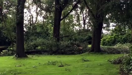 Ravage na windhoos bij zwembad in Warffum - RTV Noord