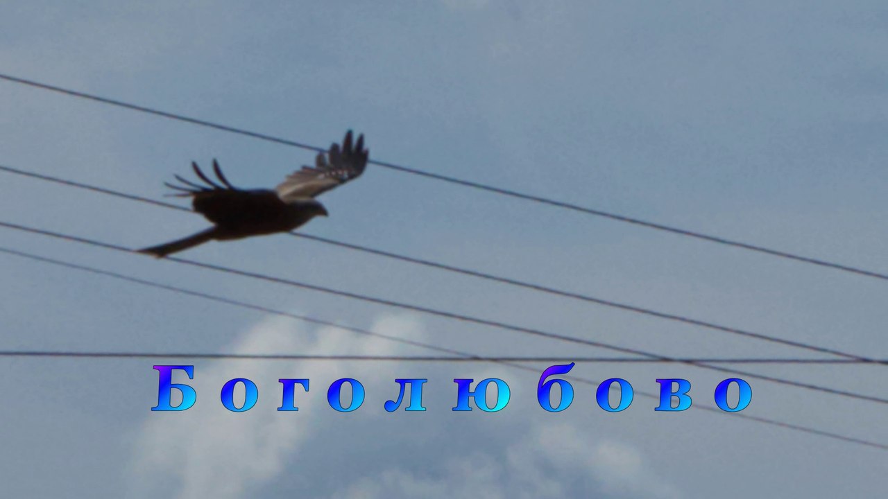 Боголюбово