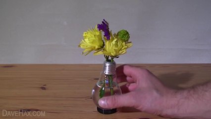 How to Make a Light Bulb Vase