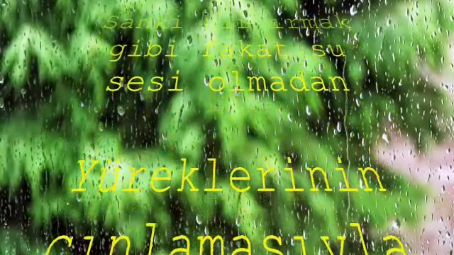 ŞİİR: ONLAR İÇİN 24 SATIR (BOJİDAR ÇİPOF)