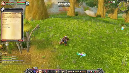 warcraft ( faire son rapport au garde thomas  )  92