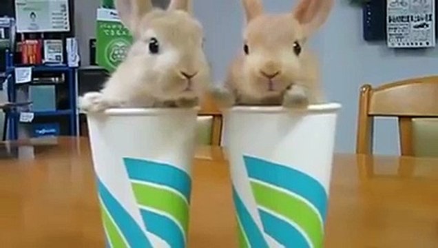 Ne olmuş, ne olmuş?