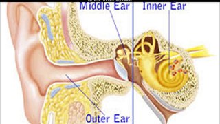 Hearing loss Reversed review