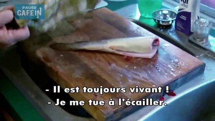 Ce poisson prêt à être cuisiné semble mort et pourtant...