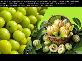 Garcinia Essentials Review