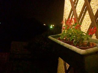 DSCF6638.........ROSE NOELLE MOMAS