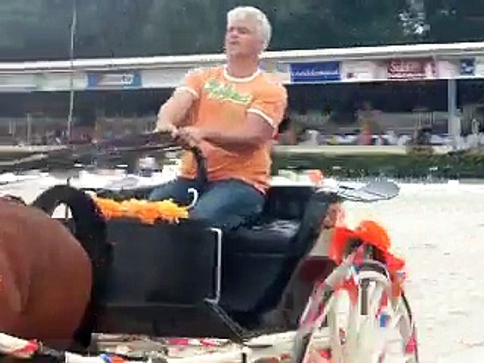 Tuigpaard Holland Show tijdens de Tuigpaardendag 2010 met oa Ada van Raaijen en Simon