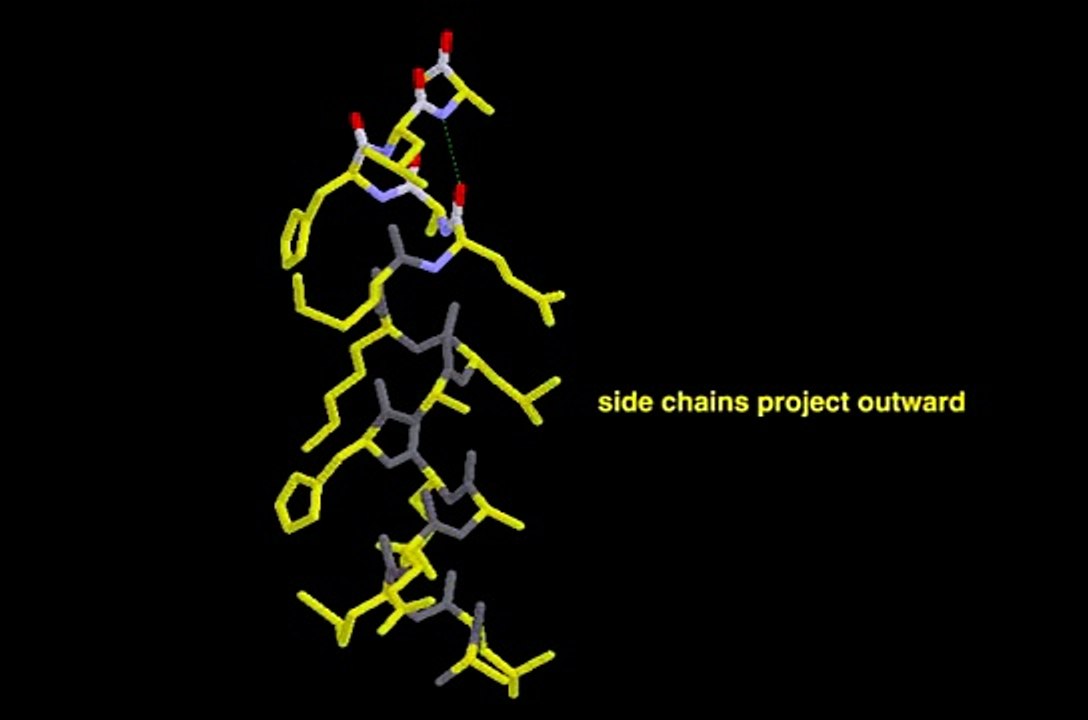 Alpha helix