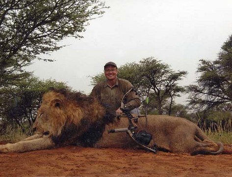 Le lion Cécil est mort, assassiné par Walter Palmer
