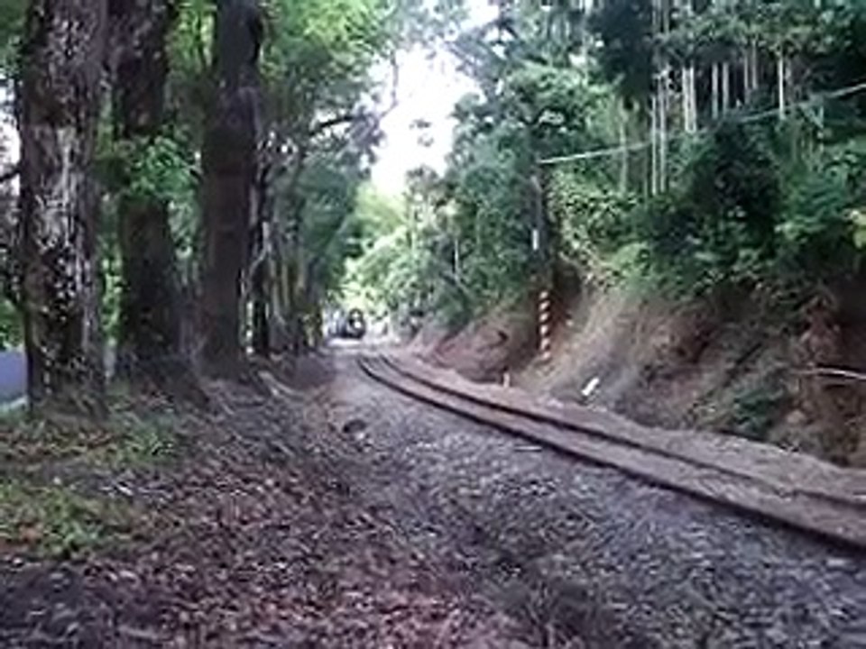 南投火車好多節,CK124蒸氣火車經過集集綠色隧道