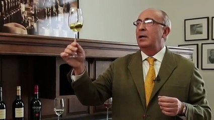 Cata en "V" Gonzalez Byass con Antonio Flores (English)
