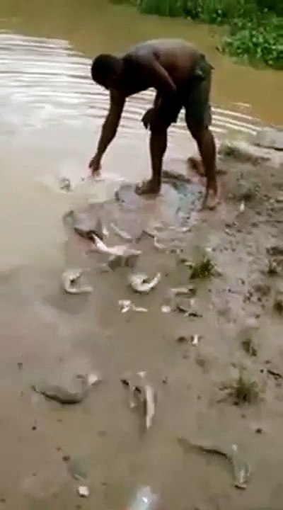Unusual method catching fishes