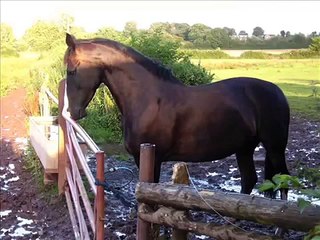 Rest In Peace Unique - You Will Never Be Forgotten !!