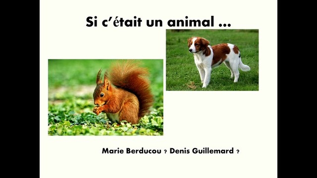 Agir ensemble pour les patrimoines. Hommage à Marie Berducou, Gaêl de Guichen, Denis Guillemard,