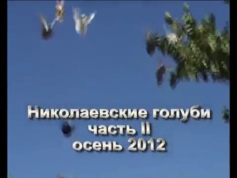 Николаевские голуби 2 (ростовская область).avi