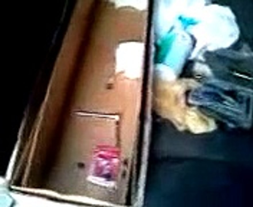 how to change Chevy express rear brake light bulb turn signal repair replace replacement