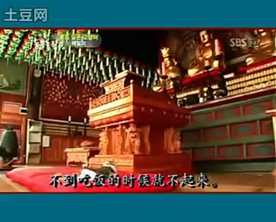 吃素拜佛的貓咪 (法號解脫)