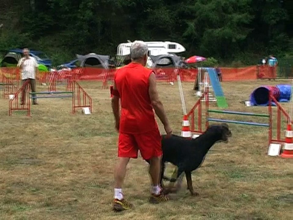 Fuego le doberman